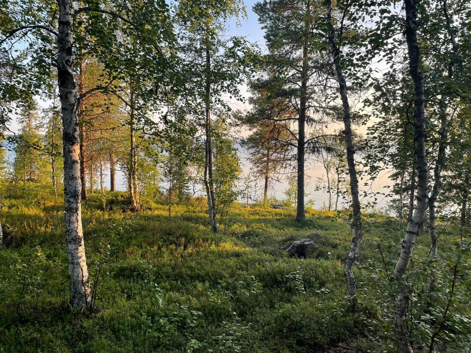 Lapland Dream Villas Rauhala Экстерьер фото